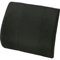 Healthsmart DMI Lumbar Back Support Foam Seat Cushion, Black 555-7301-0200